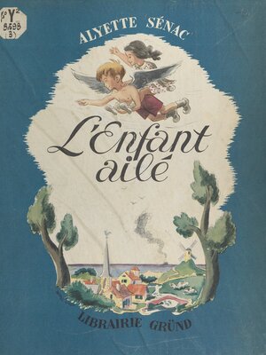 cover image of L'enfant ailé